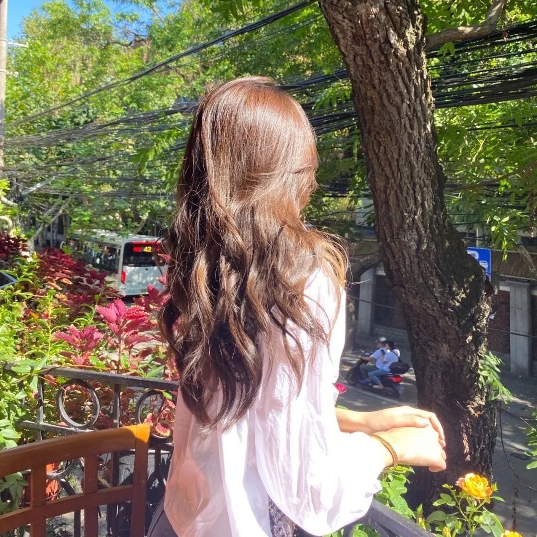 毛驴上树2倔驴搬家